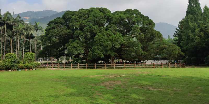 福州英諾科技全體員工于福州國(guó)家森林公園開展團(tuán)建活動(dòng)